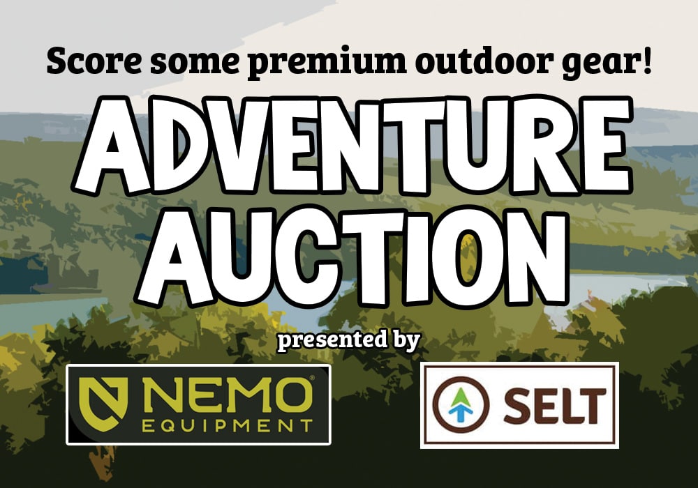 nemo-auction-banner2
