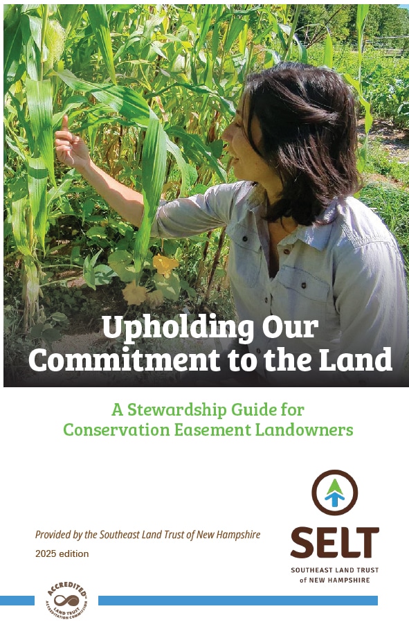 stewardship-guide-2025