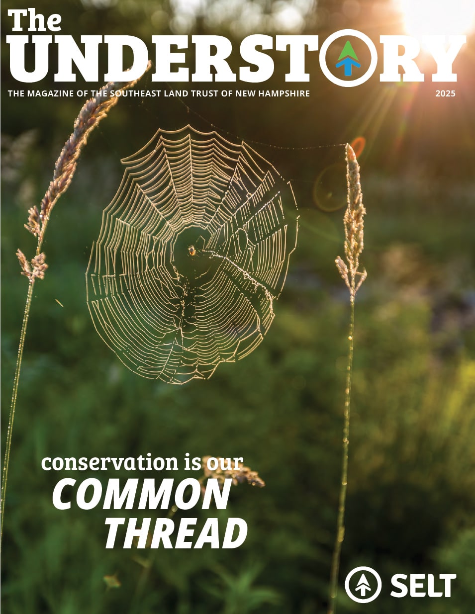 understory-2025-cover