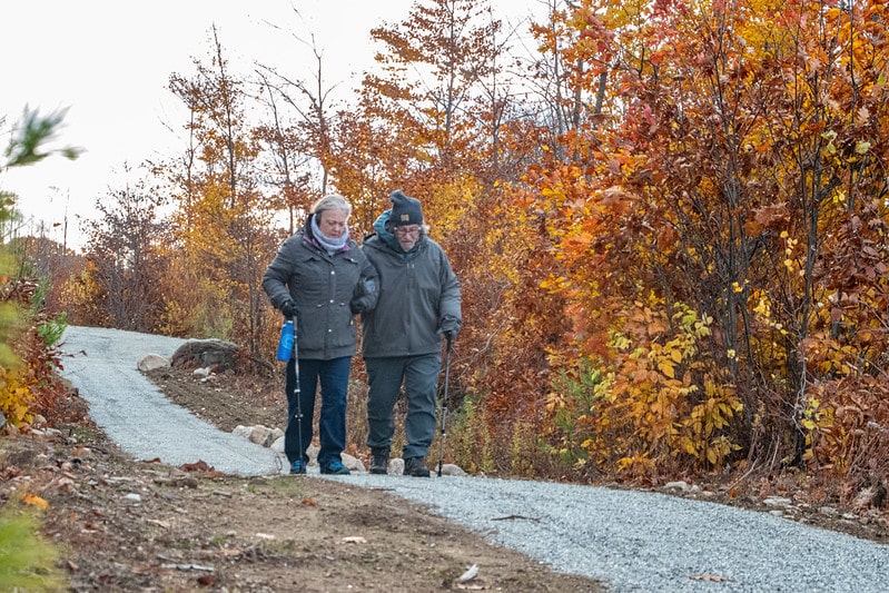 54900856227_a83348f2c9_c