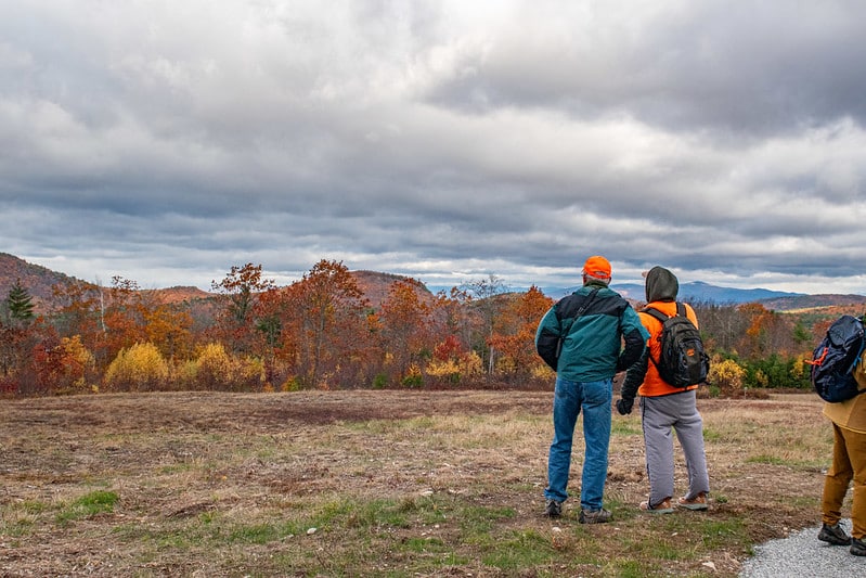 54901985164_b0315188ed_c