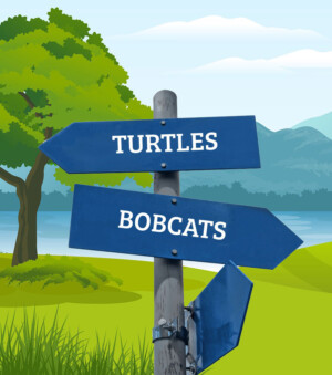 Thoroughfares of the Natural World