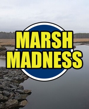 Marsh Madness!