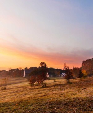 The Historic Homestead