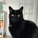 Oliver